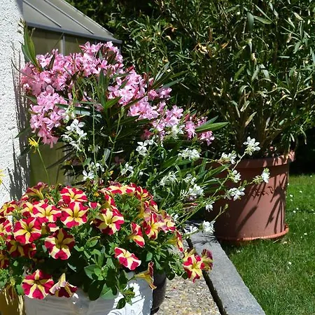 Apartamento Haus Gunda Arrach