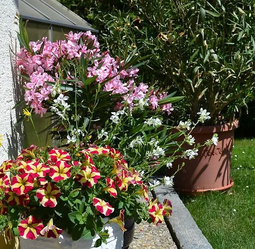 Appartement Haus Gunda Arrach